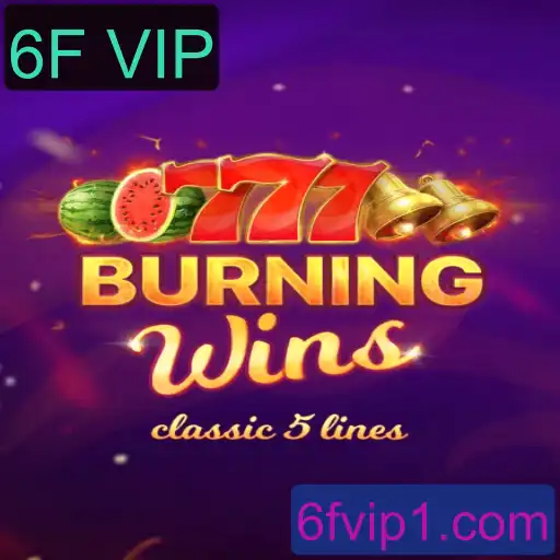 BurningWins: O Fascínio do Jogo com a Chave 6F VIP