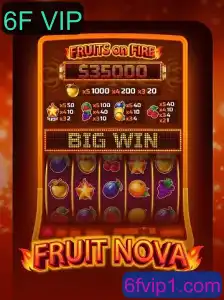 Explorando o Mundo de FruitNova: Um Jogo de Estratégia Inovador